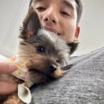Professional pet grooming team members at work bathing and styling dogs